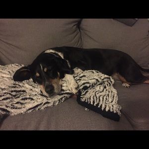 Meet your Posher, Marty